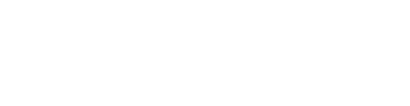 NAVIERA LIGHT