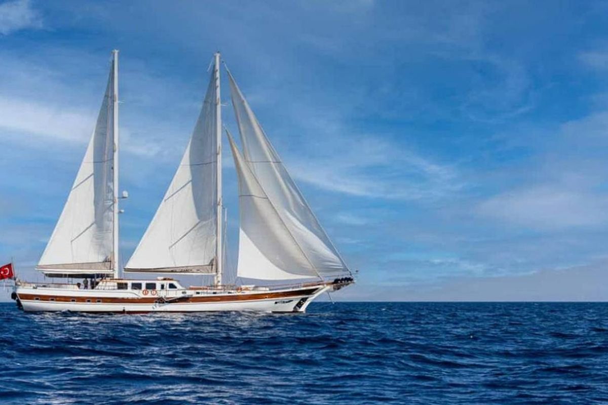 2d9d6eaa 9ee1 4a2c 8b28 2201d8354c83 2