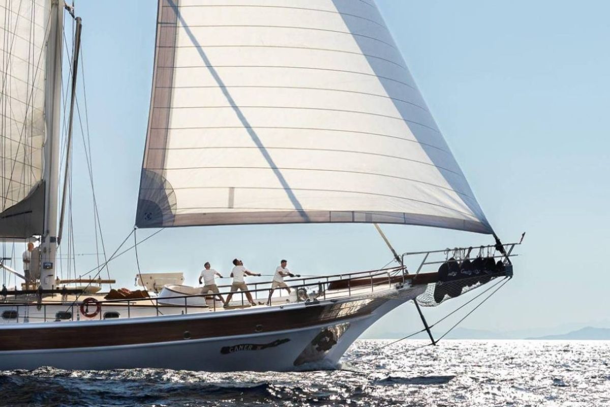 5d3cbcd8 a79b 497c b10d 8d9b27a34148 2