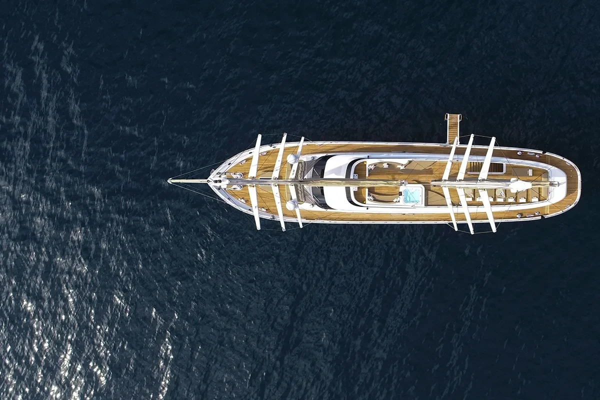 ACAPELLA Aerial view (3).jpg