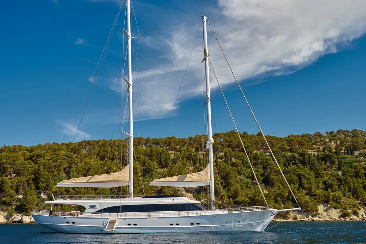 ACAPELLA Anchored.jpg (1)