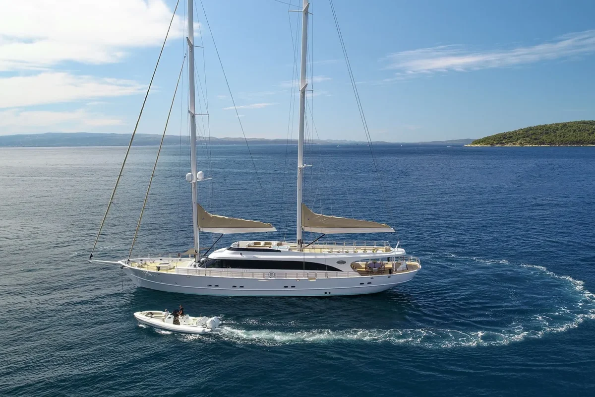 ACAPELLA Cruising.jpg