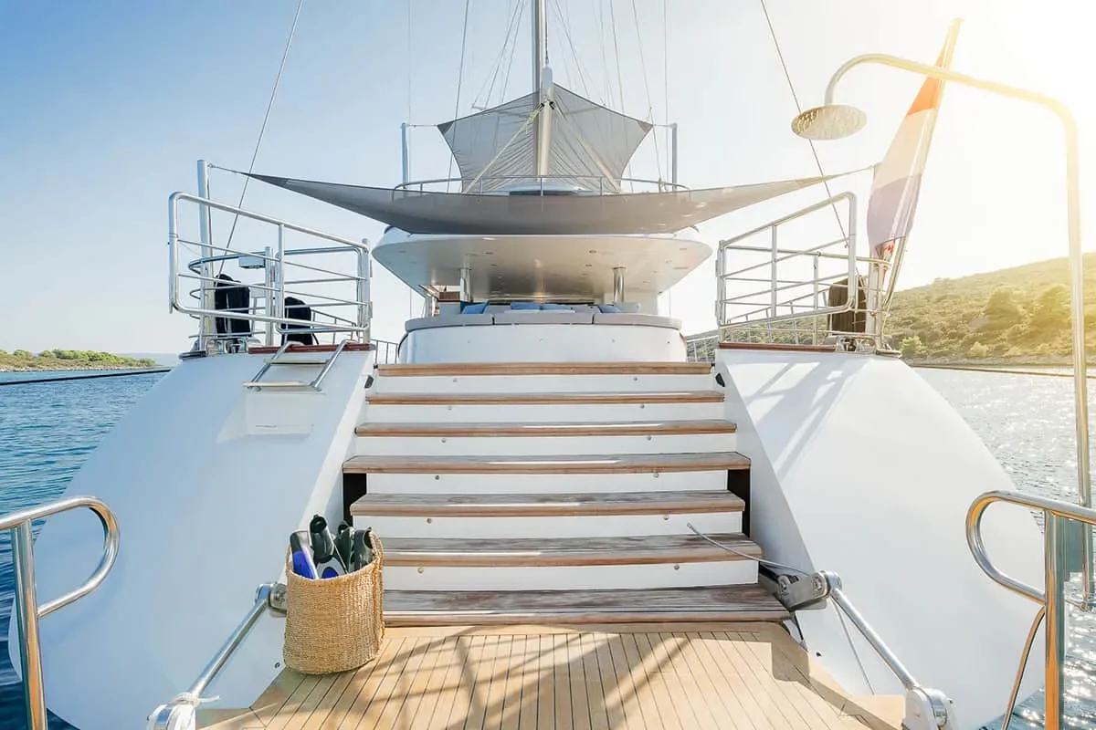 LADY GITA Back view.jpg (1)