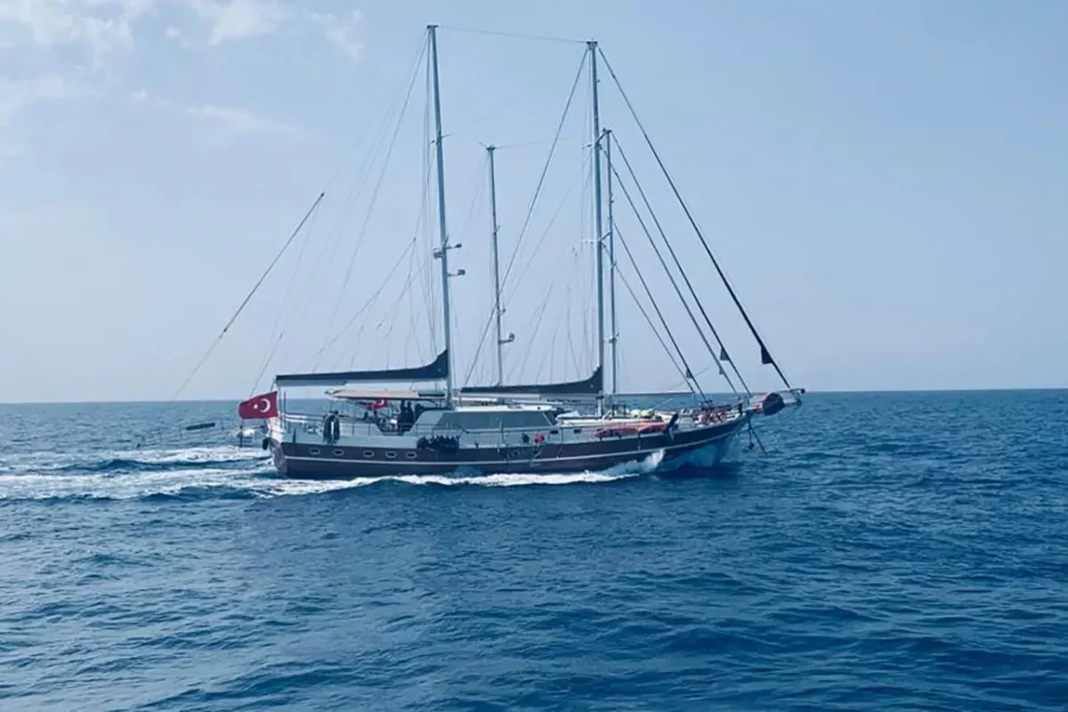 PRENSES BUGCE Cruising.jpeg