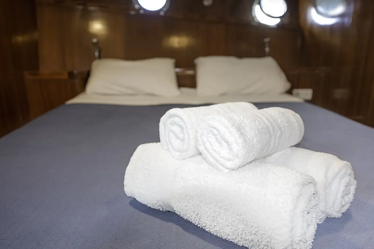 TERSANE IV Double cabin (4).jpg