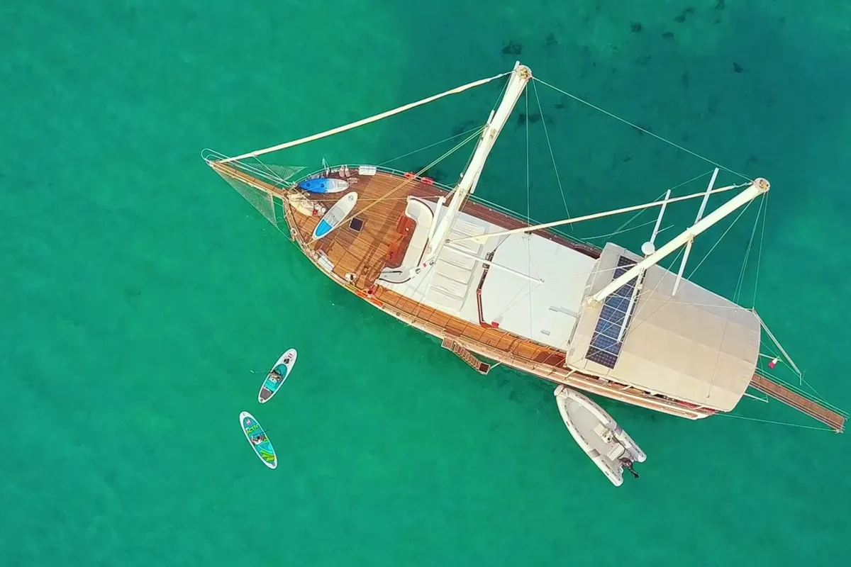 VICTORIA Aerial view.jpg