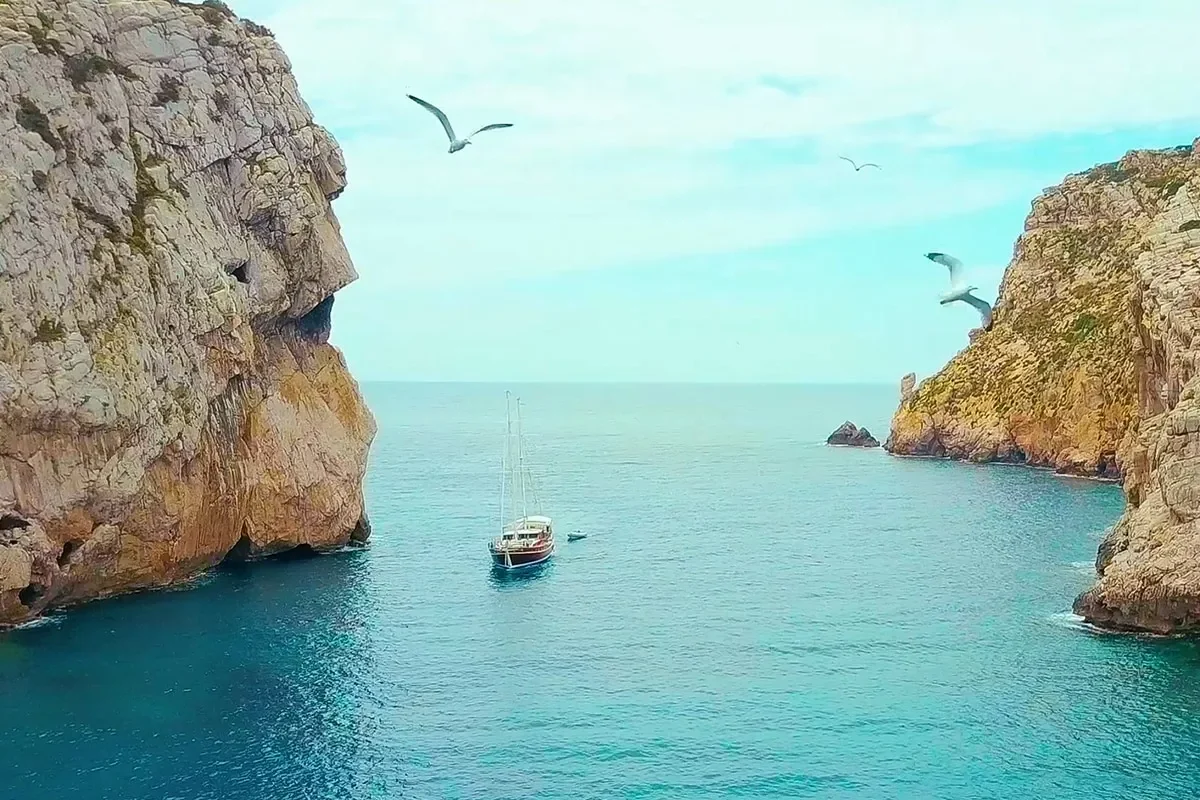 VICTORIA Cruising.jpg