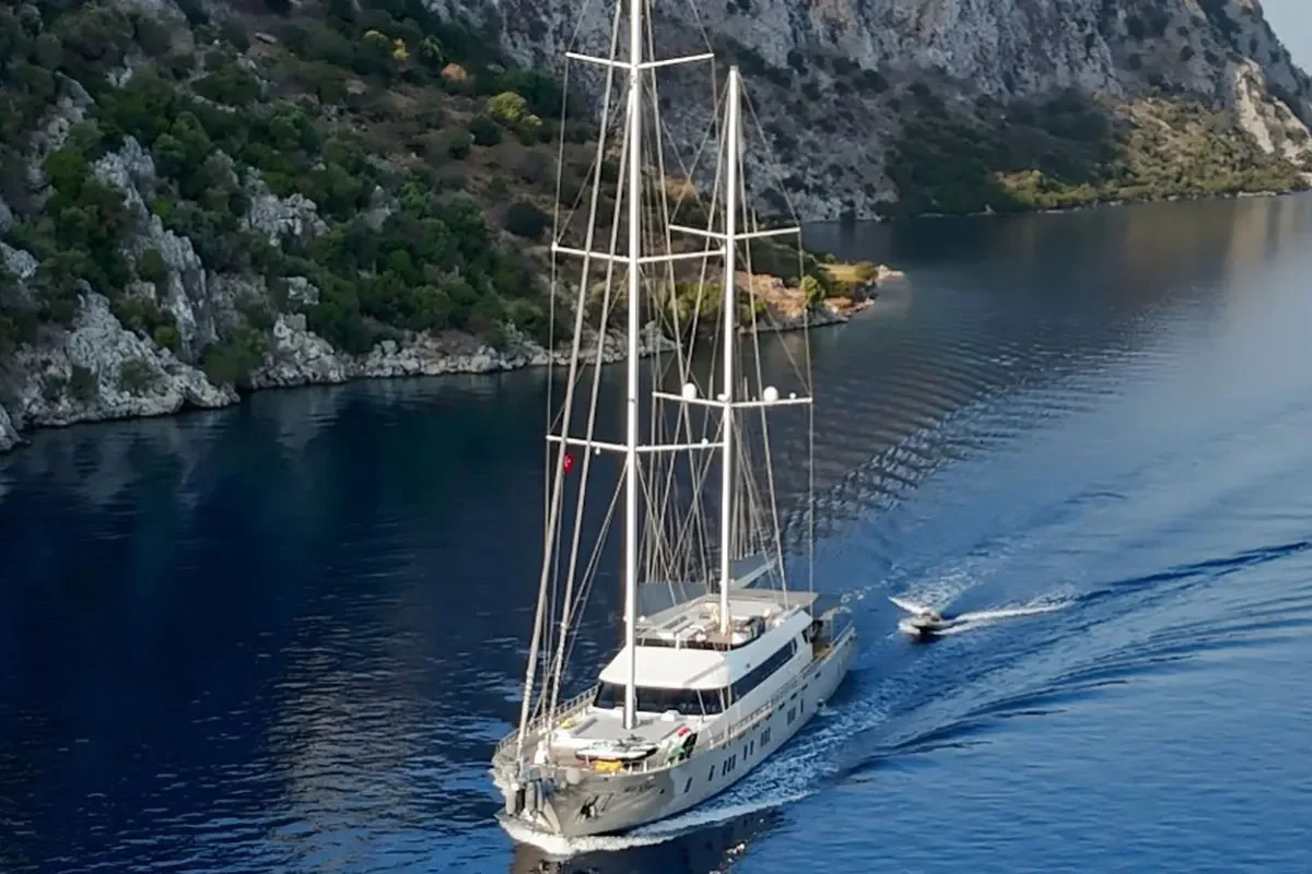 de love cruising.jpg (1)