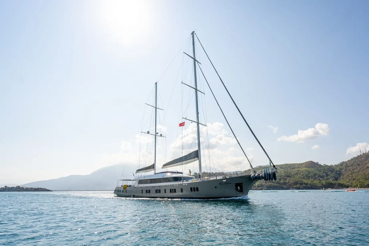 de love cruising 2.jpg