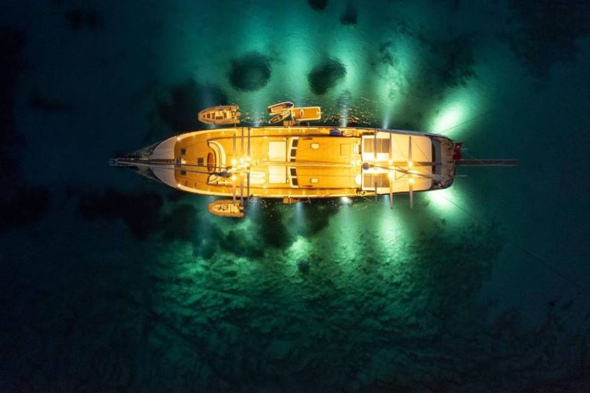 ee30c7e2 1c09 470c b4a1 516d71004cf3 2 1