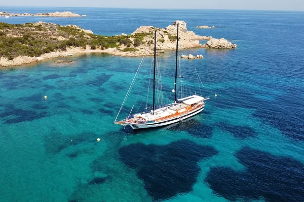 elianora anchored.jpg (1)