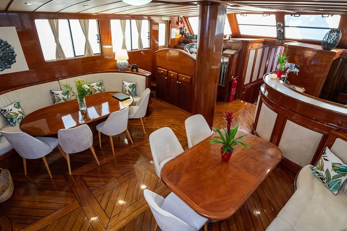 elianora salon 5.jpg