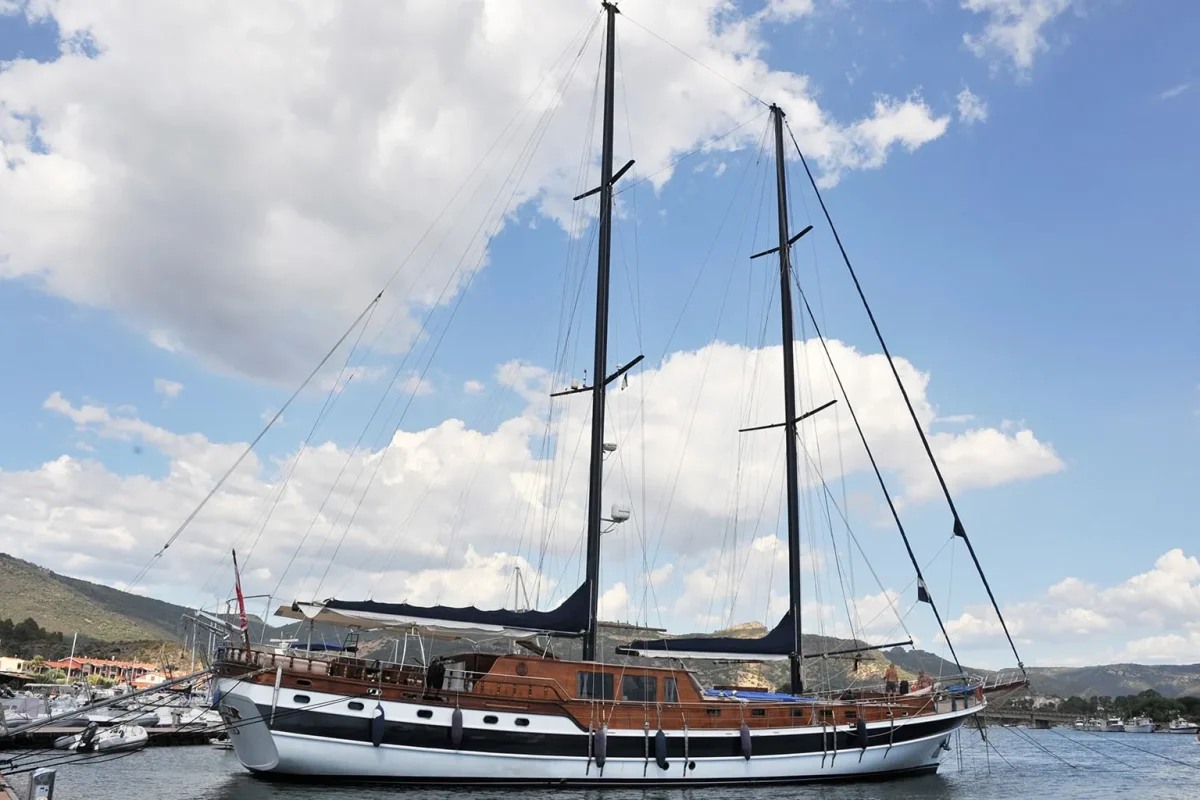 elianora side view.jpg