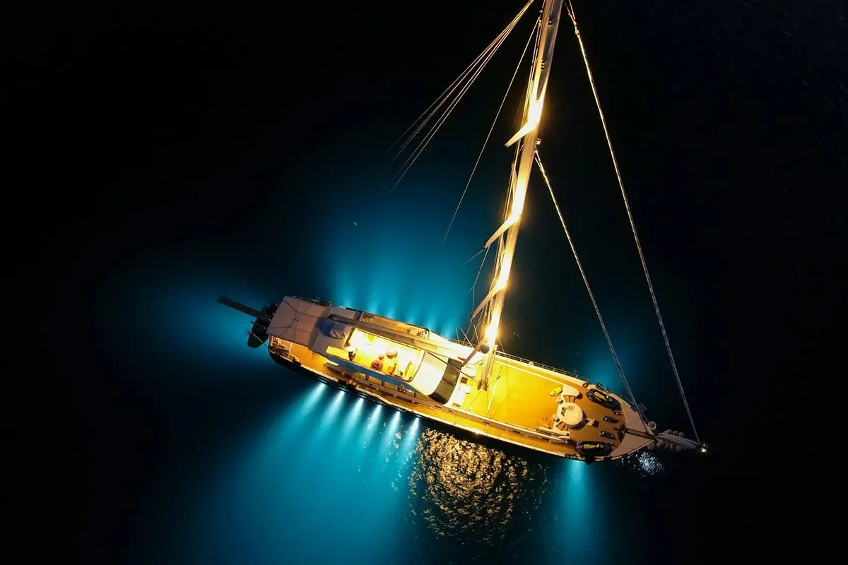 good life lights at night.jpg