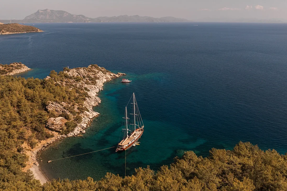 la bella vita anchored 0.jpg (1)