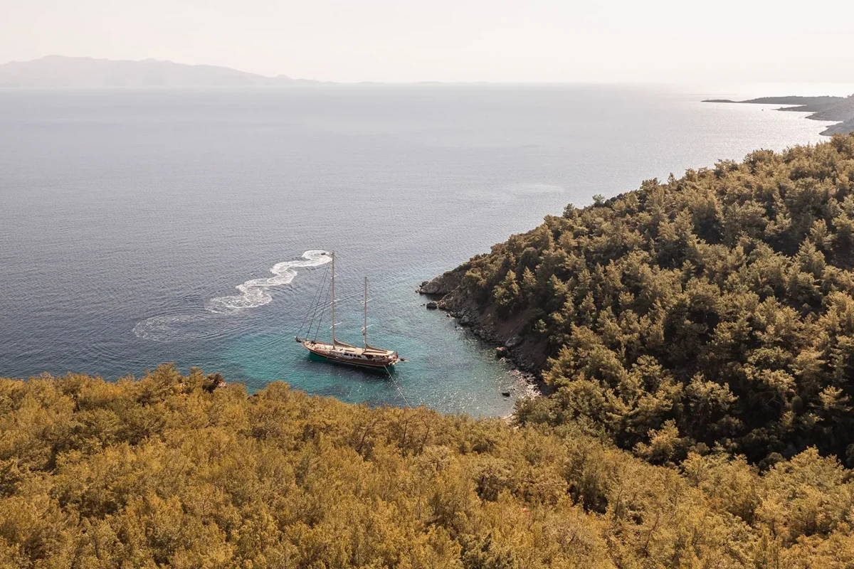 la bella vita anchored 0.jpg