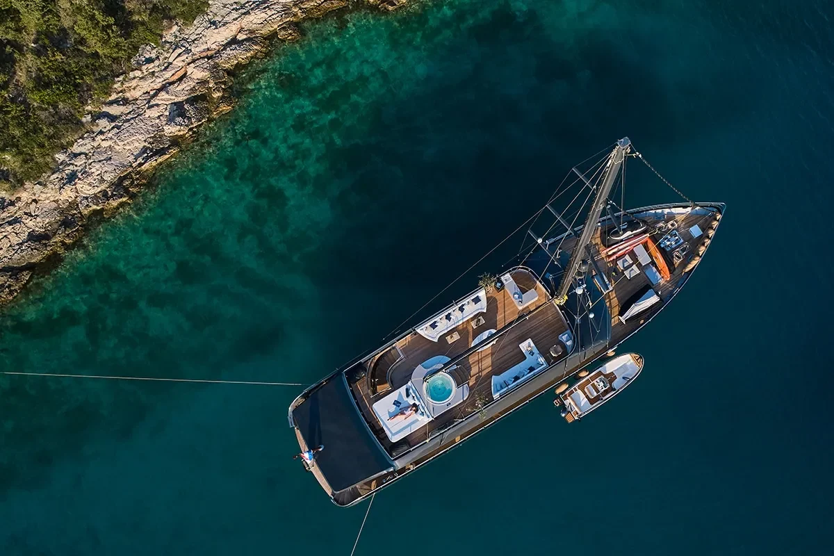 rara avis aerial view.jpg (1)