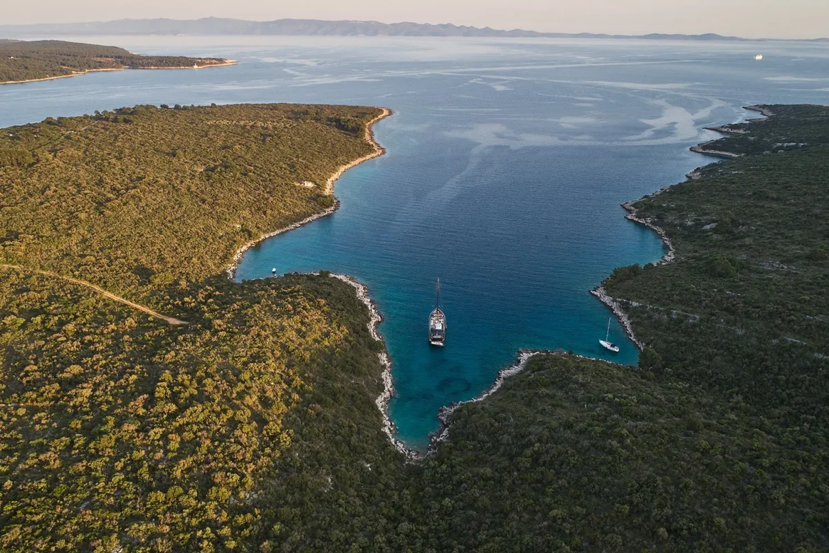 rara avis aerial view.jpg