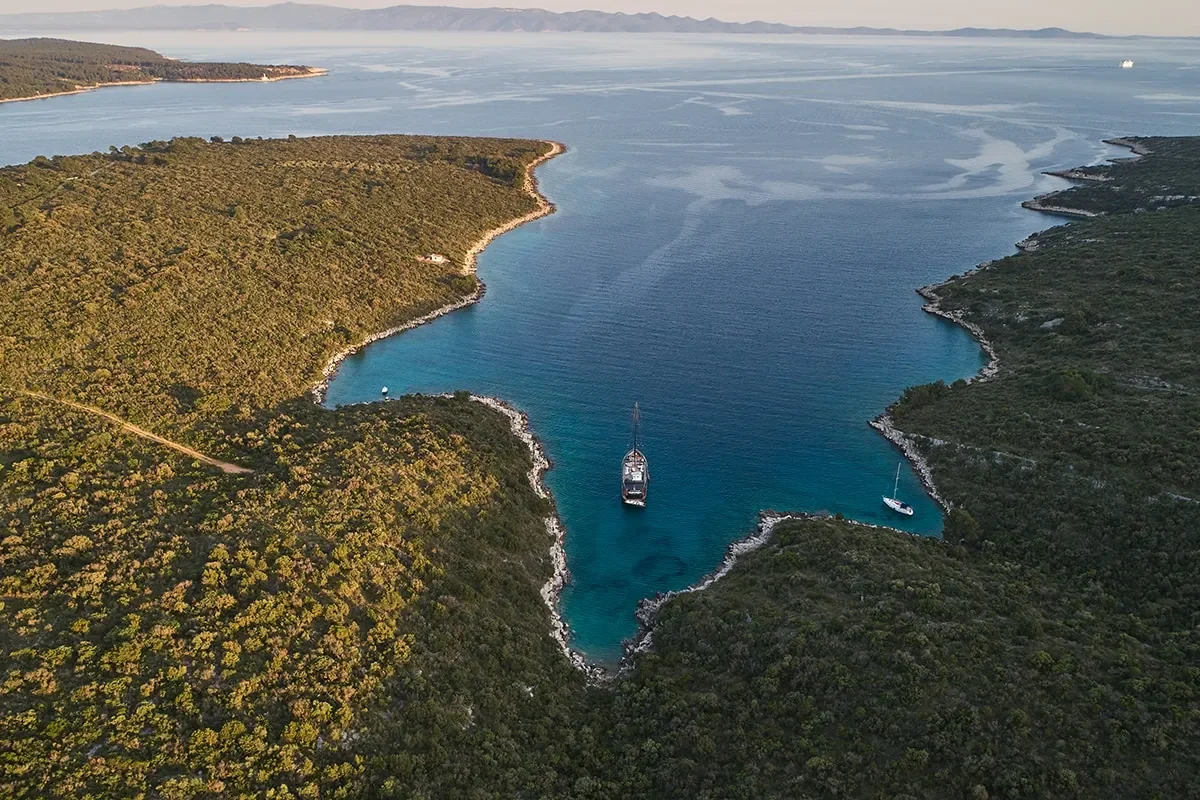 rara avis aerial view 2.jpg