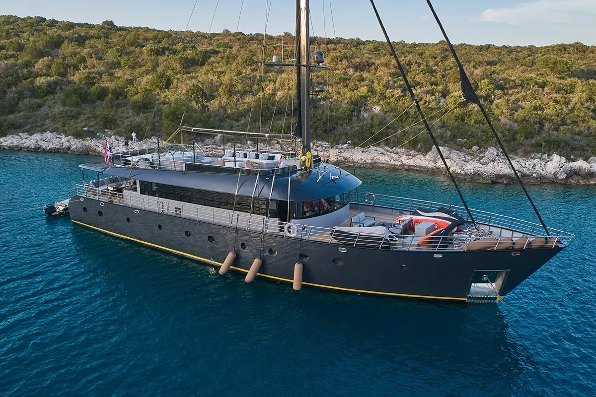 rara avis anchored 2.jpg