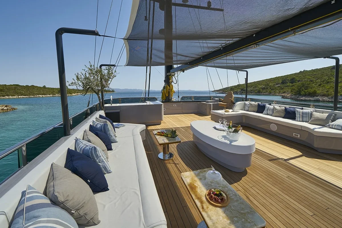 rara avis sun deck 2.jpg (1)