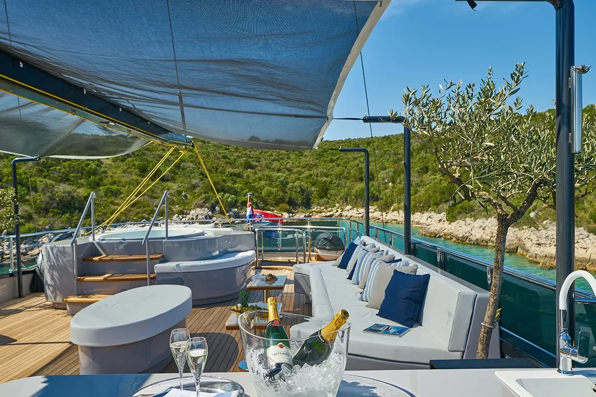 rara avis sun deck 6.jpg